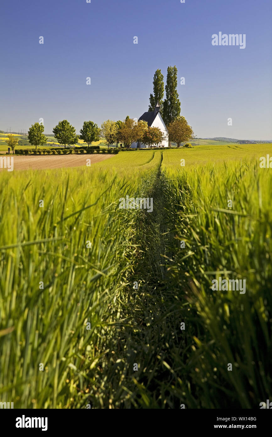 Feld Landschaft mit kleinen Kapelle Heilig-Kreuz-Kapelle, Mertloch, Eifel, Deutschland, Europa Stockfoto