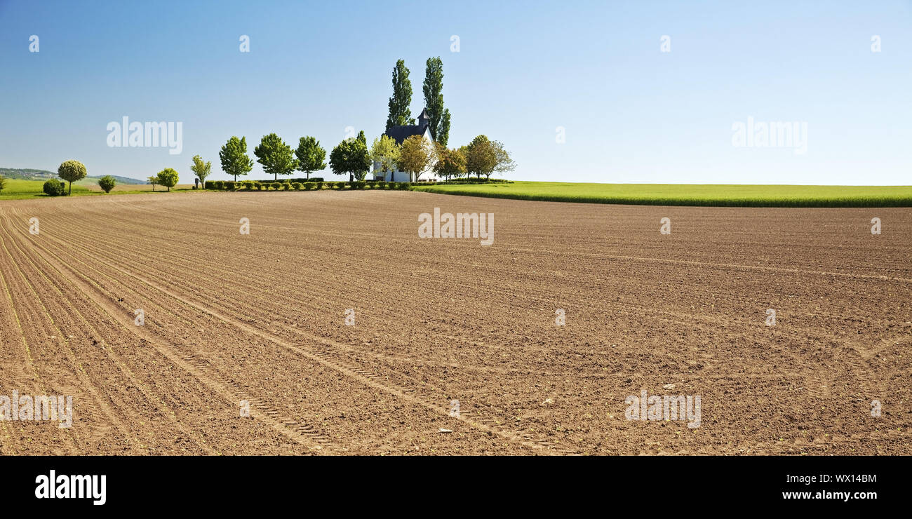 Feld Landschaft mit kleinen Kapelle Heilig-Kreuz-Kapelle, Mertloch, Eifel, Deutschland, Europa Stockfoto