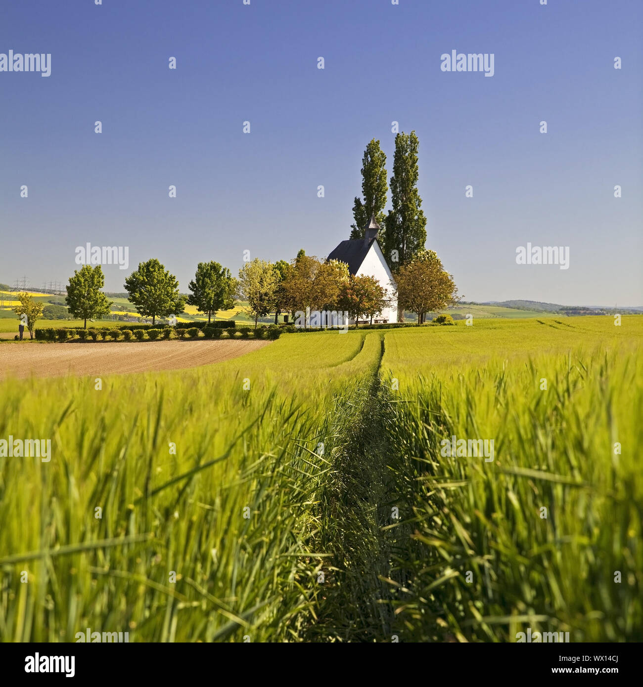 Feld Landschaft mit kleinen Kapelle Heilig-Kreuz-Kapelle, Mertloch, Eifel, Deutschland, Europa Stockfoto