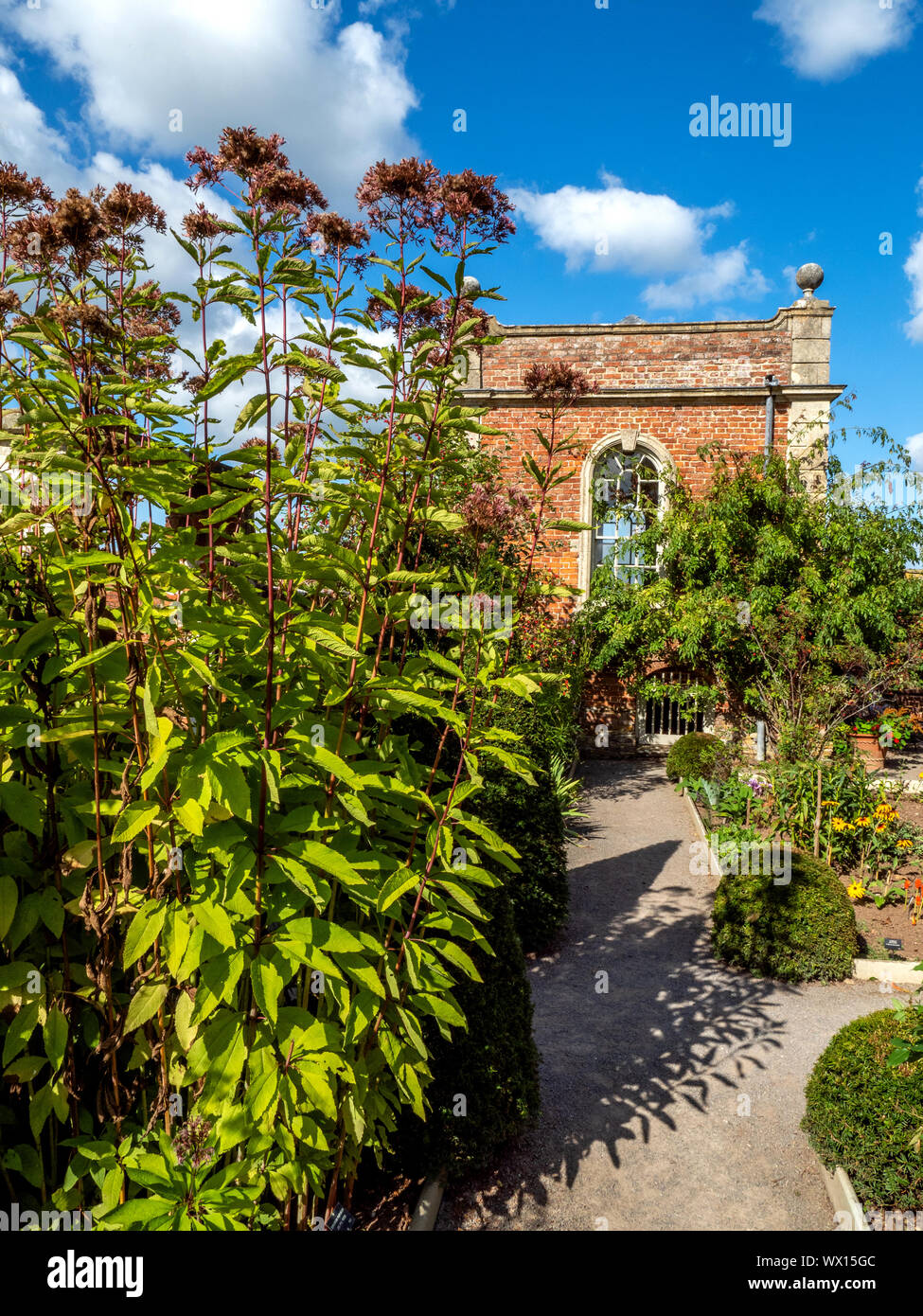 Geheime Garten und Gartenhaus zur Wesbury Hof Garten aus dem 17. Jahrhundert im holländischen Stil Wasser Garten in Westbury auf Severn Gloucestershire, Großbritannien Stockfoto