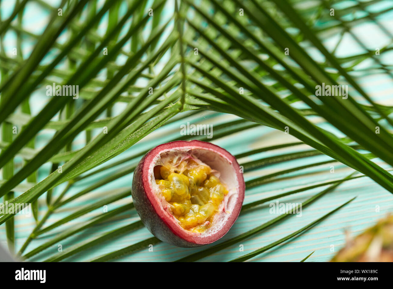 Passionsfrucht und tropischen Palmen Blätter auf grünem Hintergrund. Stockfoto