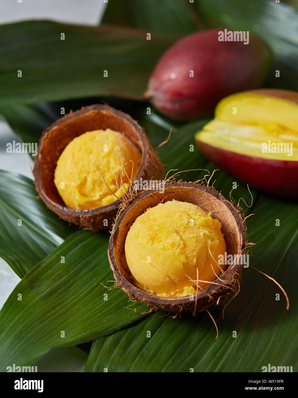 Mango Eiscreme Sorbet in Kokosnuss Schale mit frischen Mango auf Palm Blätter Stockfoto