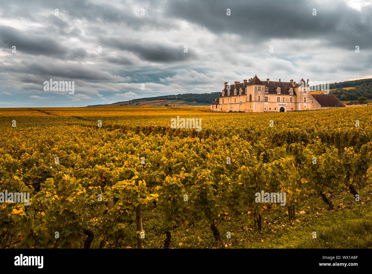 Chateau mit Weinbergen im Herbst Saison, Burgund, Frankreich Stockfoto