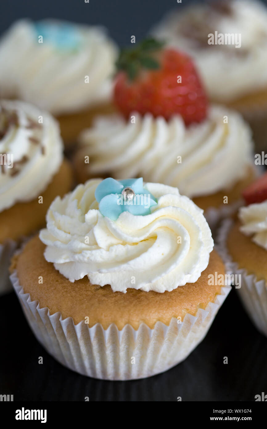 Sortiment von Cupcakes mit frischen Cremetönen eingerichtet Stockfoto