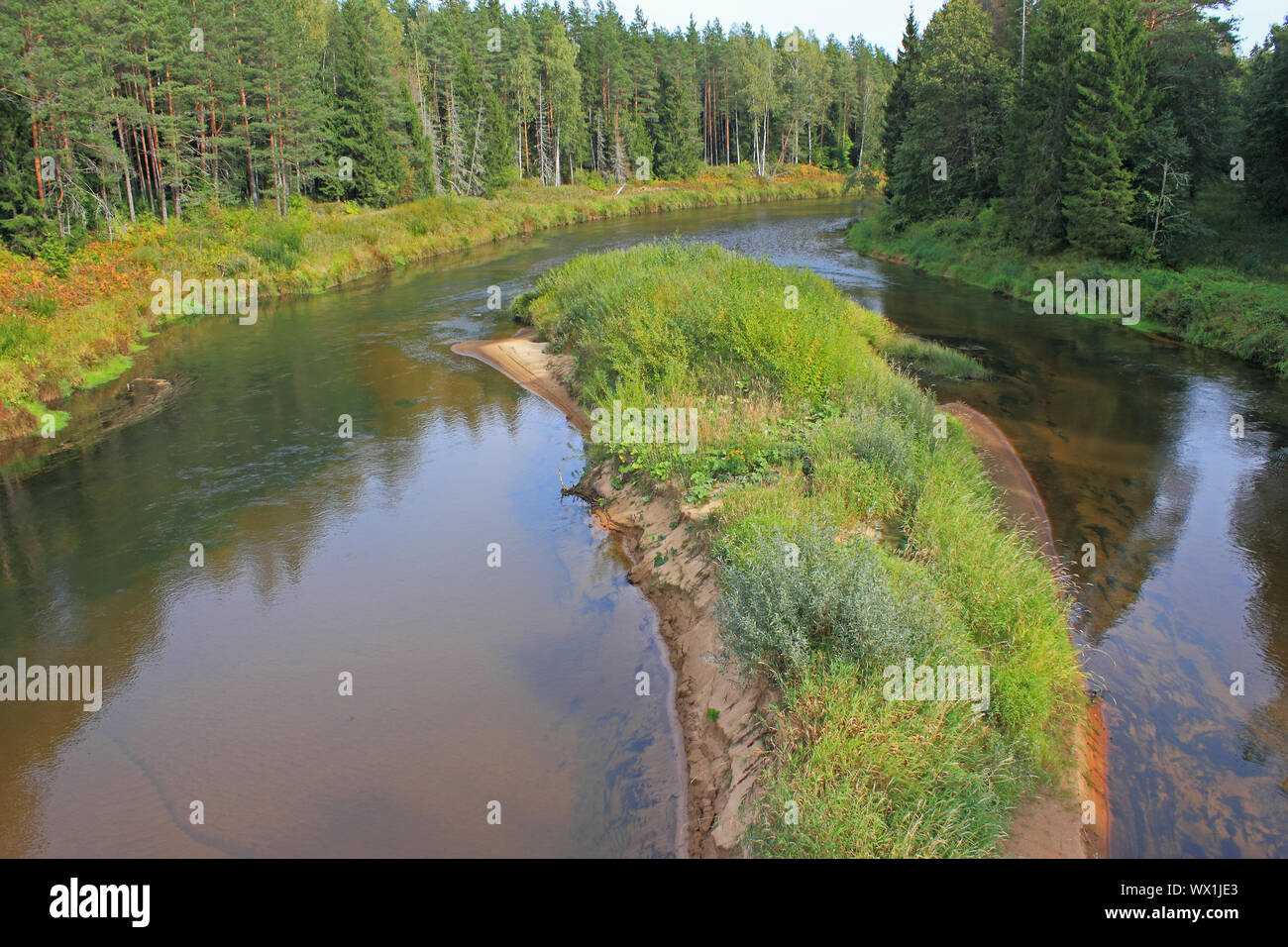 Blick auf den Fluss Gauja, Lettland Stockfoto