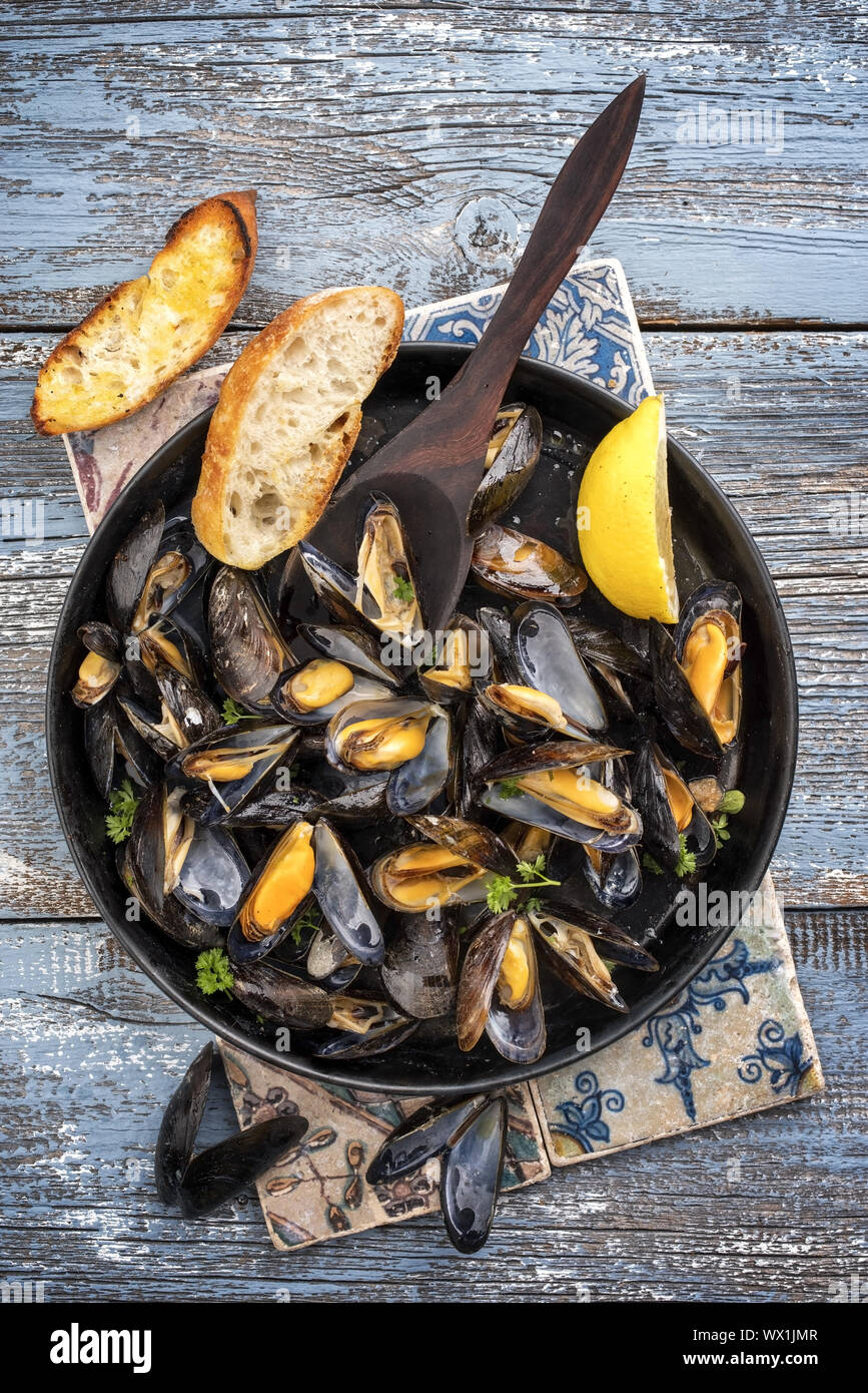 Traditionelle Grill italienische Miesmuschel in Weißwein als Ansicht von oben in eine Kasserolle Stockfoto