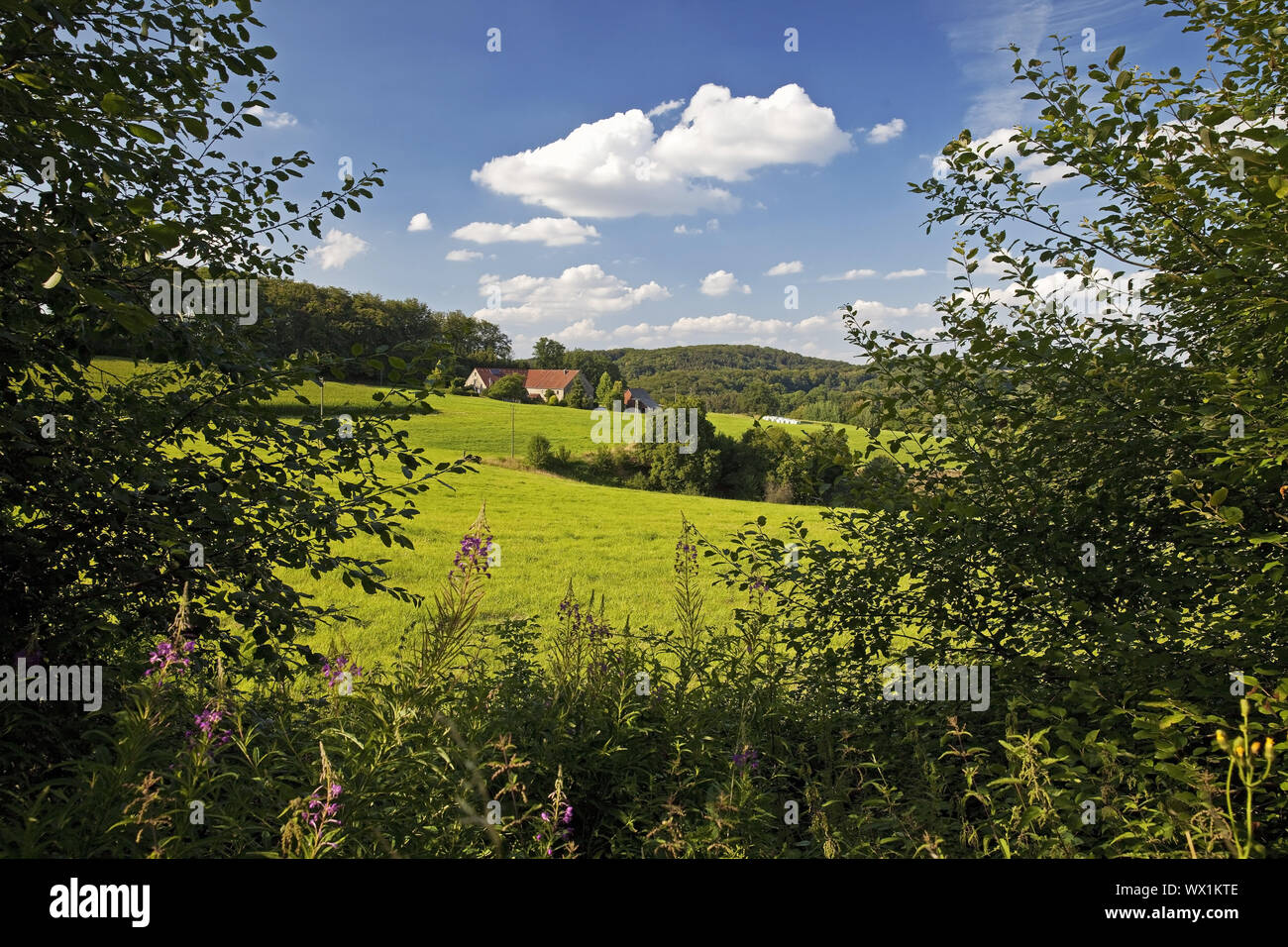 Landsape in Sprockhoevel ueber, Ruhrgebiet, Nordrhein-Westfalen, Deutschland, Europa Stockfoto