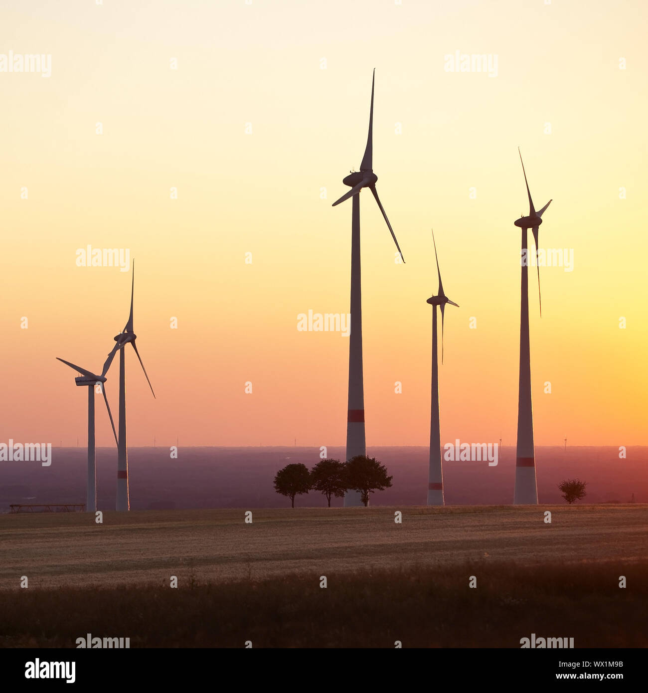 Silhouetten der Windräder im Sonnenuntergang, Paderborn, Nordrhein-Westfalen, Deutschland, Europa Stockfoto