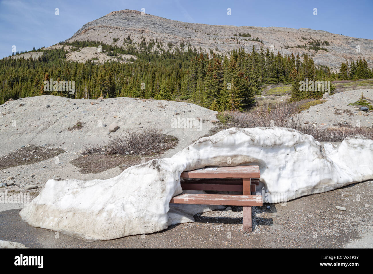 Picknicktisch im Schnee am Icefield Center im Jasper Nationalpark abgedeckt Stockfoto