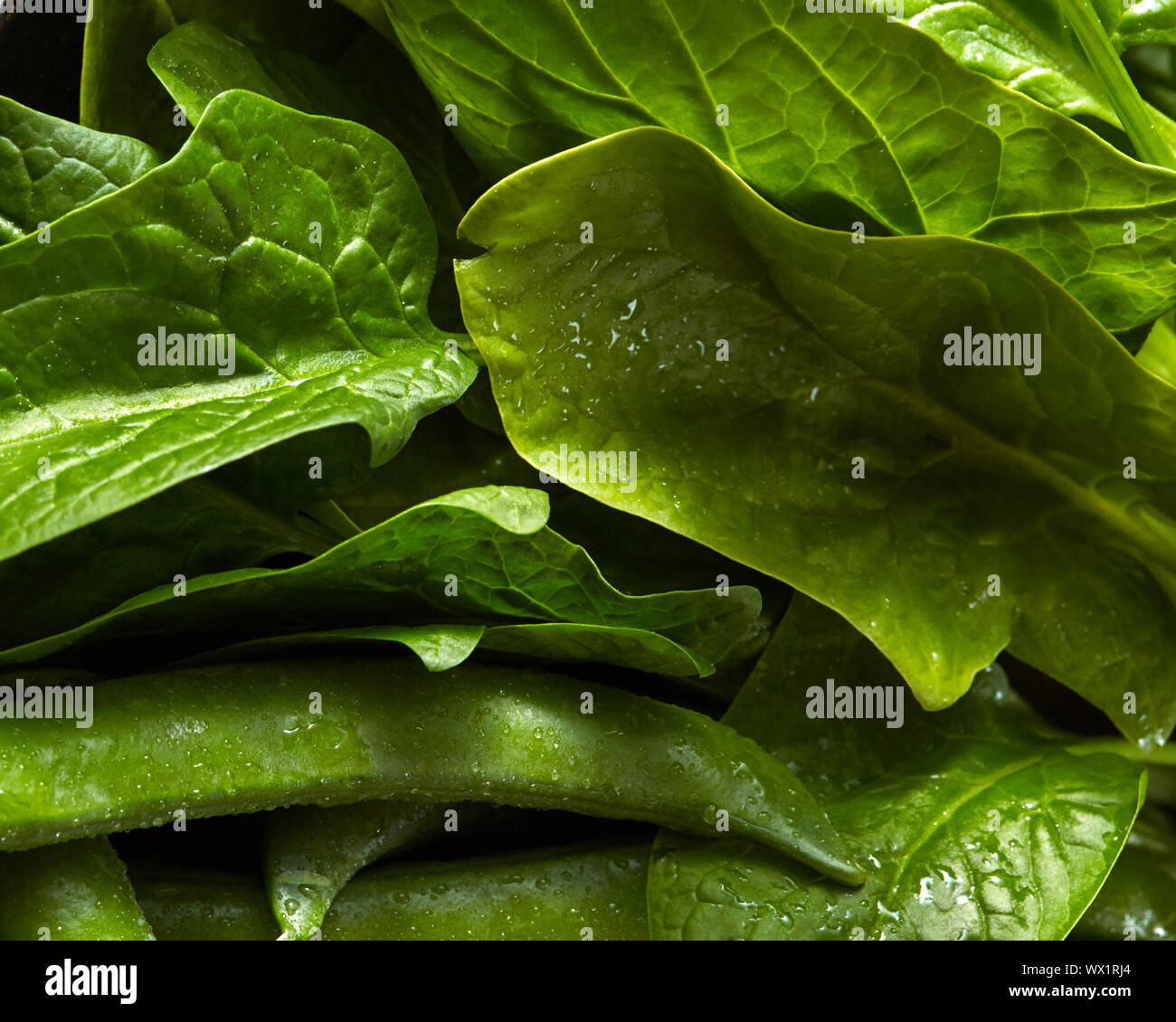 Natürlich grüne Blätter spinat und Hülsen der jungen grünen Erbsen mit Wassertropfen Nahaufnahme. Stockfoto