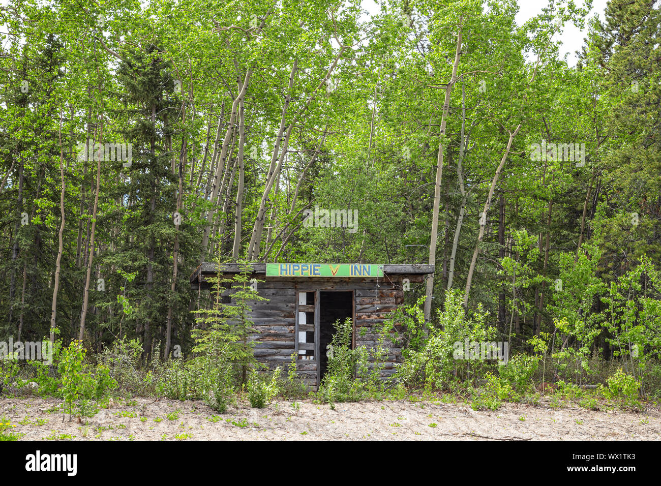 Hippie Inn, abgebrochene Struktur entlang der Alaska Highway in Yukon, Kanada Stockfoto