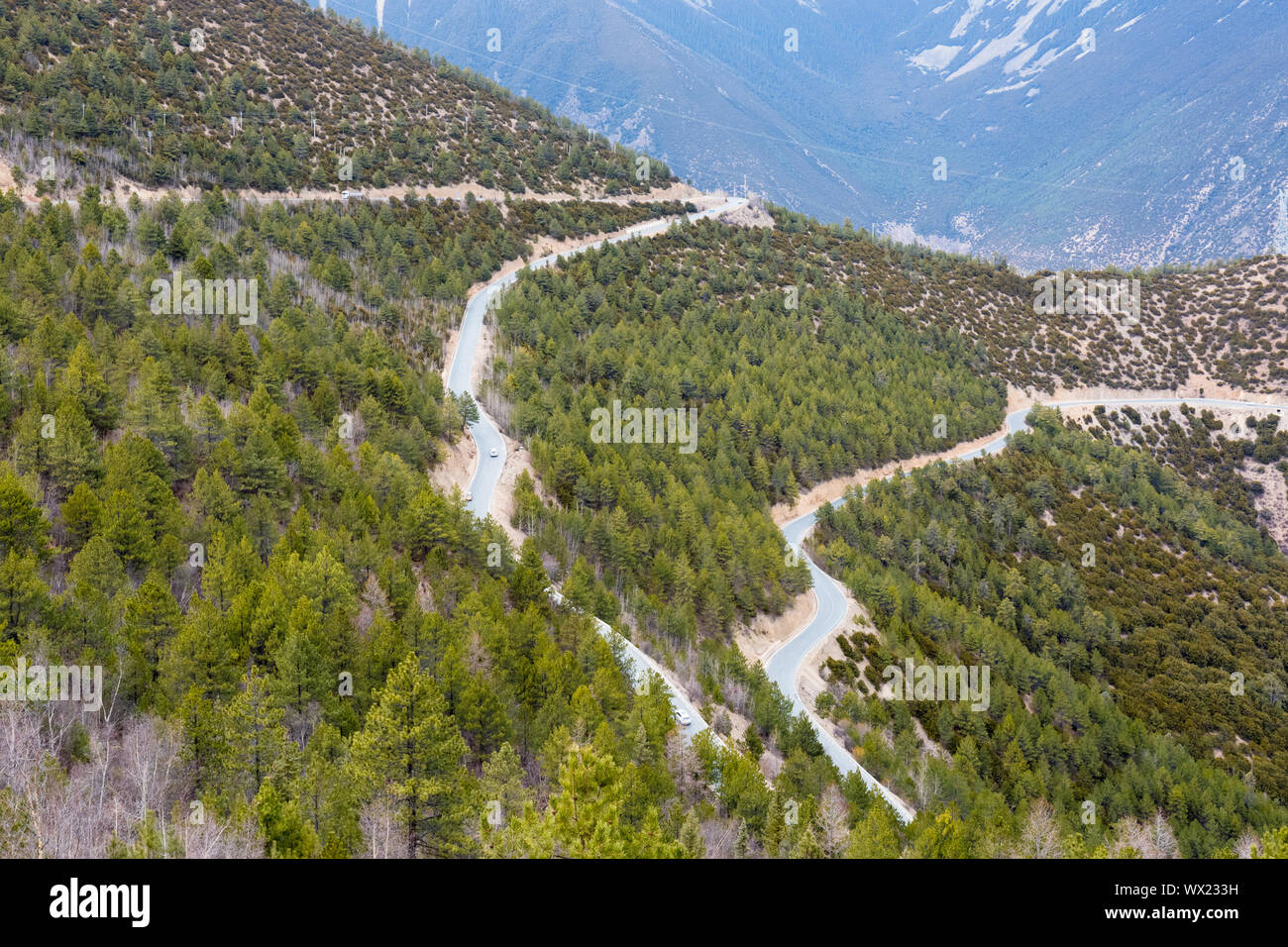 kurvenreiche Bergstrasse Stockfoto