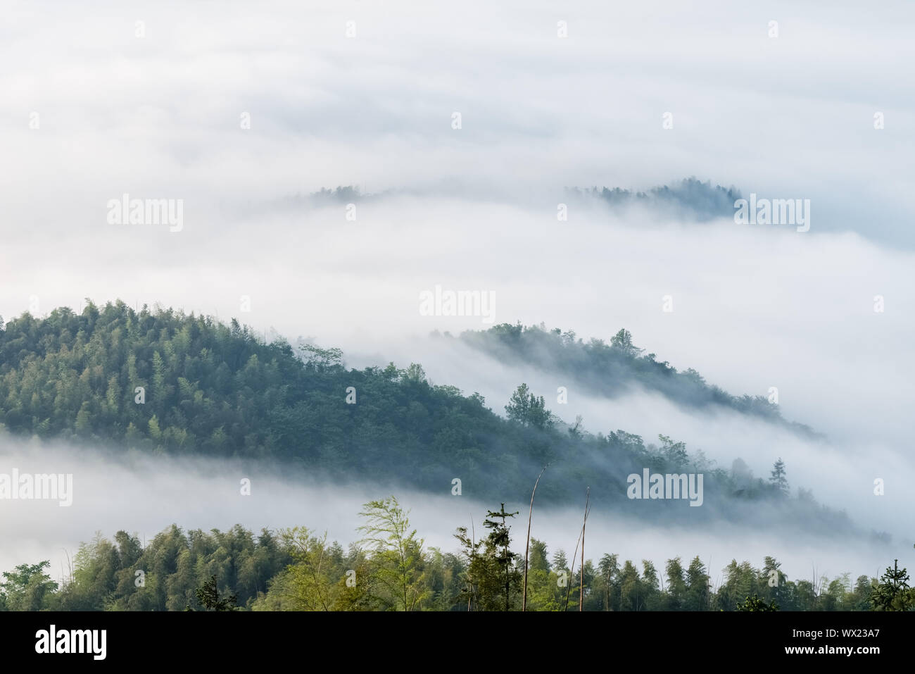 Berge bedeckt mit Wolken Nebel Stockfoto