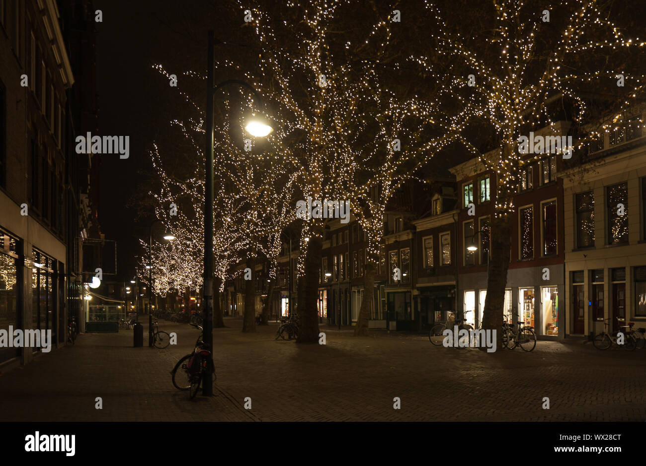Angenehmes Licht in den Bäumen in einer holländischen Stadt im Dezember Stockfoto