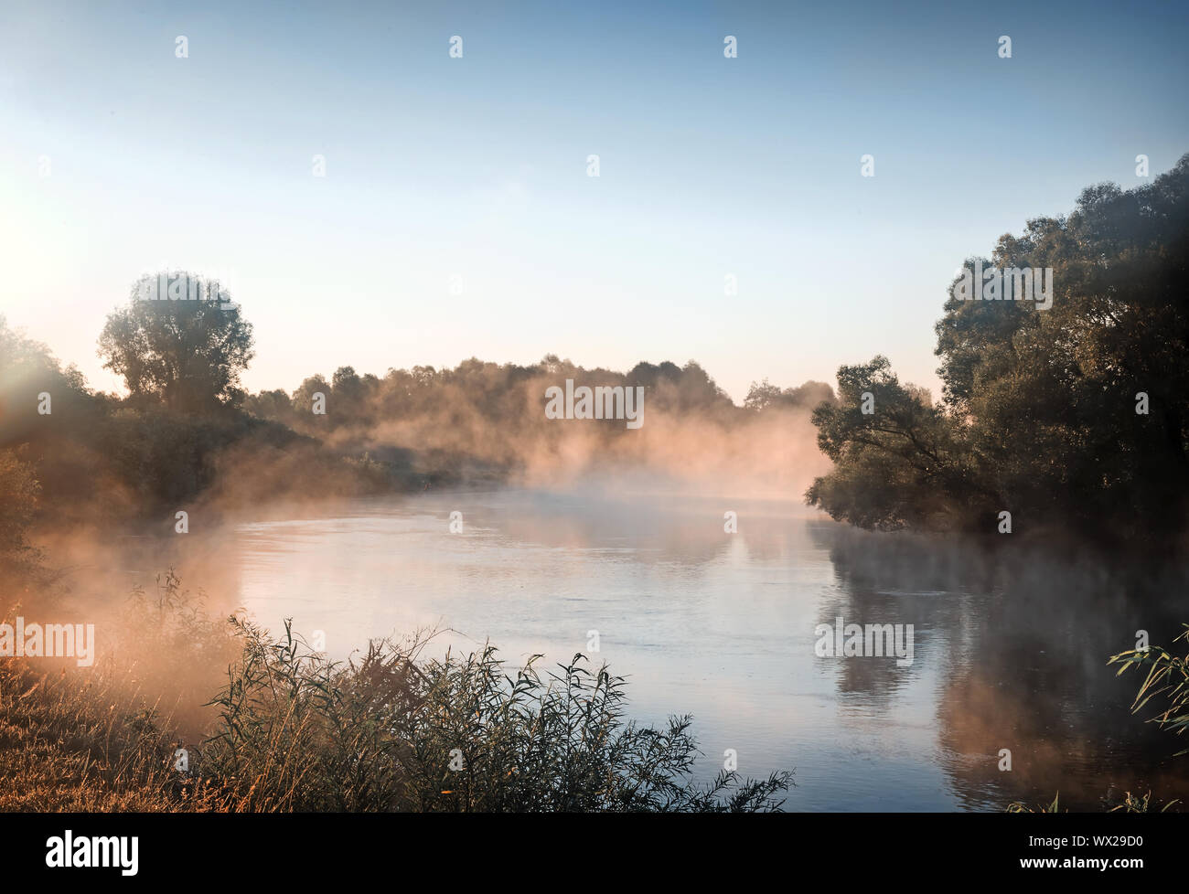 Nebel am frühen Morgen und ein kleiner Fluss. Stockfoto