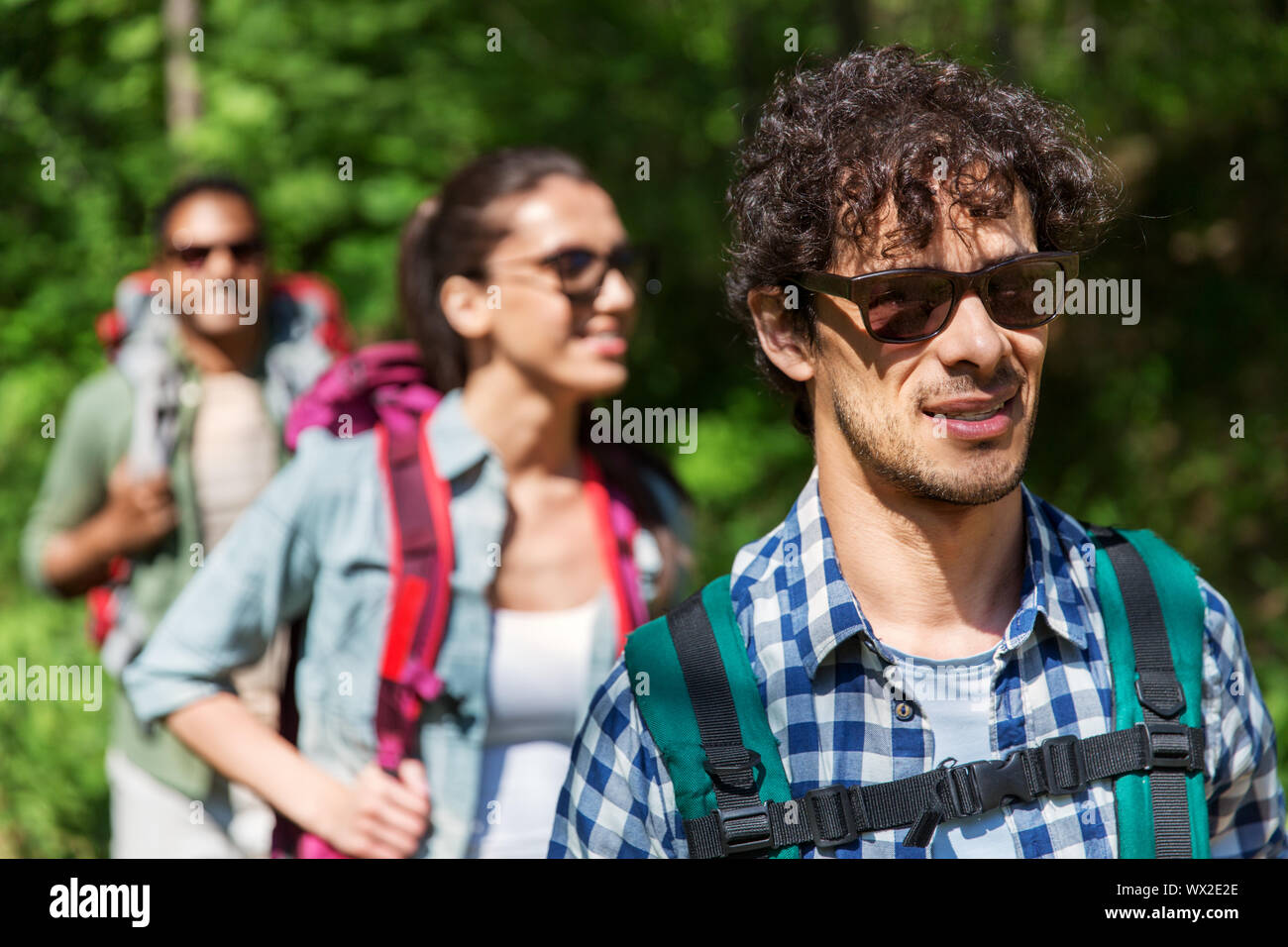 Eine Gruppe von Freunden mit Rucksäcken Wandern im Wald Stockfoto