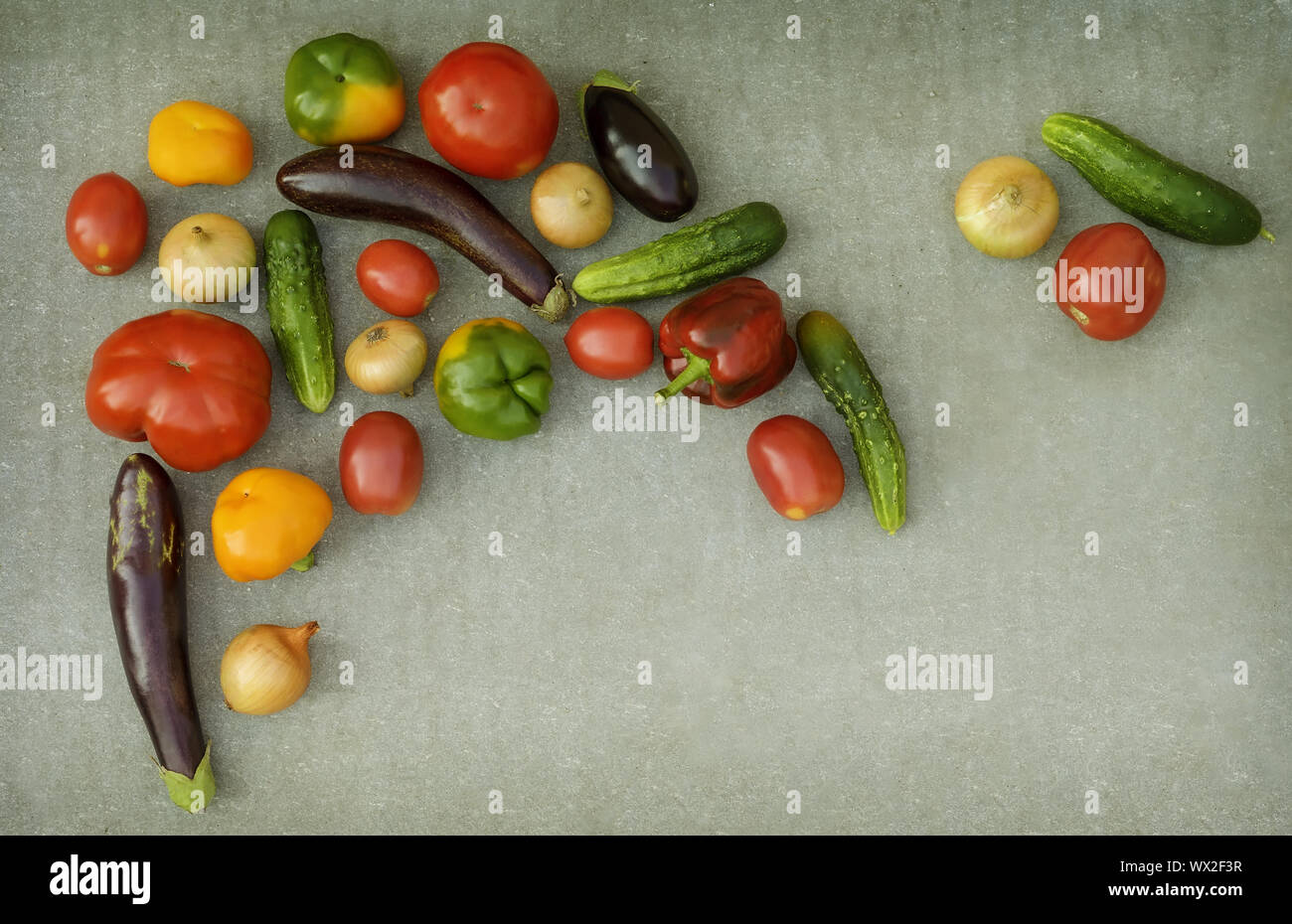 Vielzahl von frischem Gemüse auf grauem Hintergrund. Stockfoto