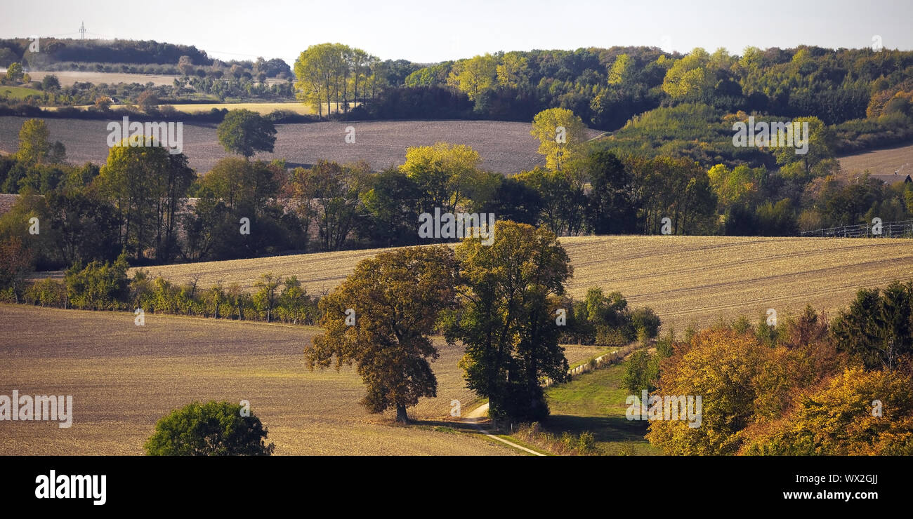 Herbst Landschaft mit Feldern und Wald, Oelde, Münsterland, Nordrhein-Westfalen, Deutschland Europa Stockfoto