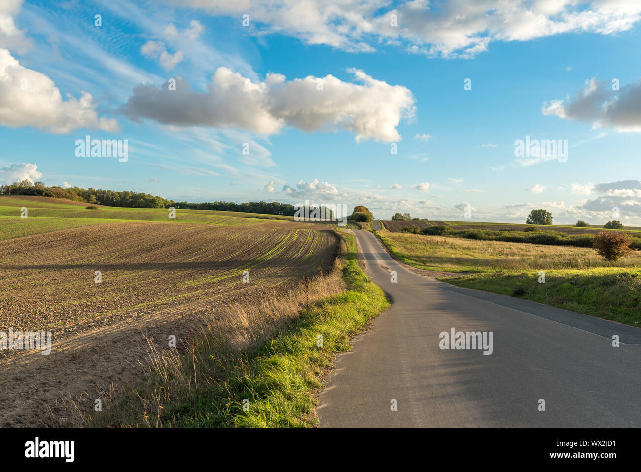 Landwirtschaft Straße auf der Insel Rügen Stockfoto