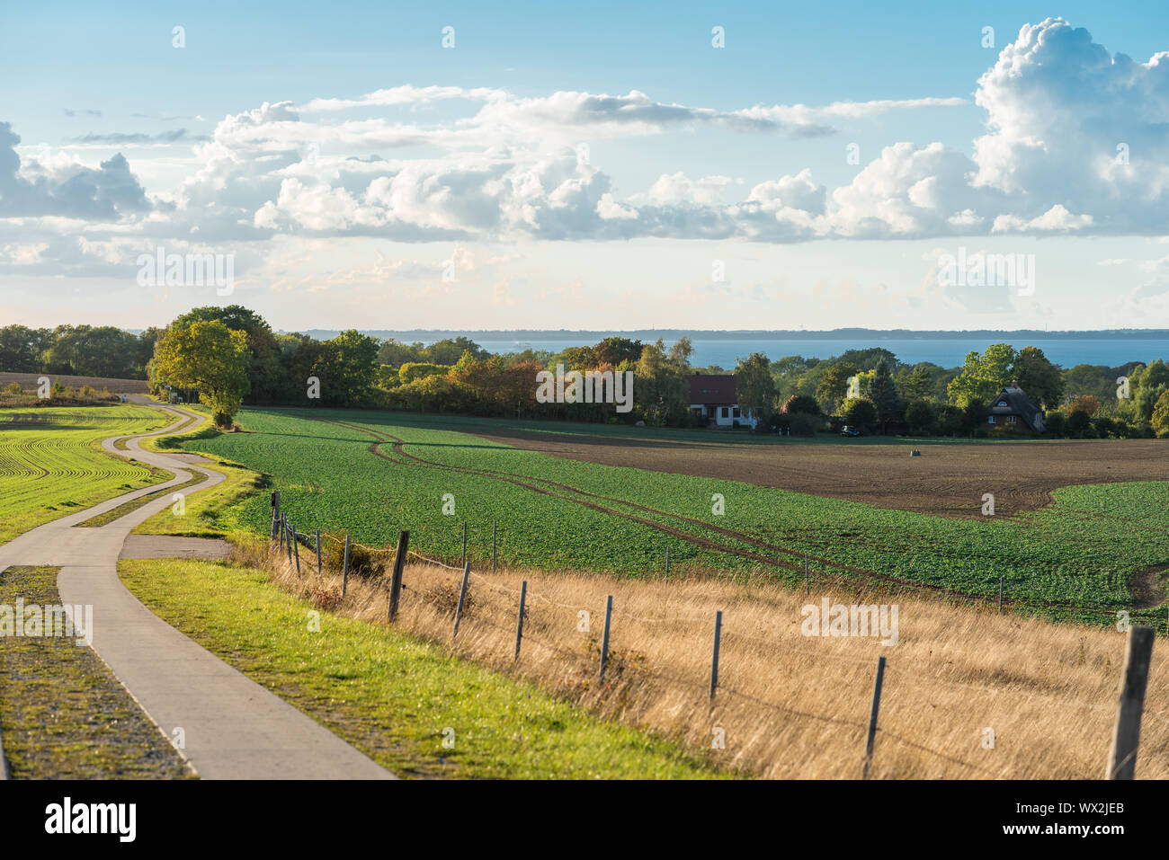 Landwirtschaft Straße auf der Insel Rügen. Stockfoto