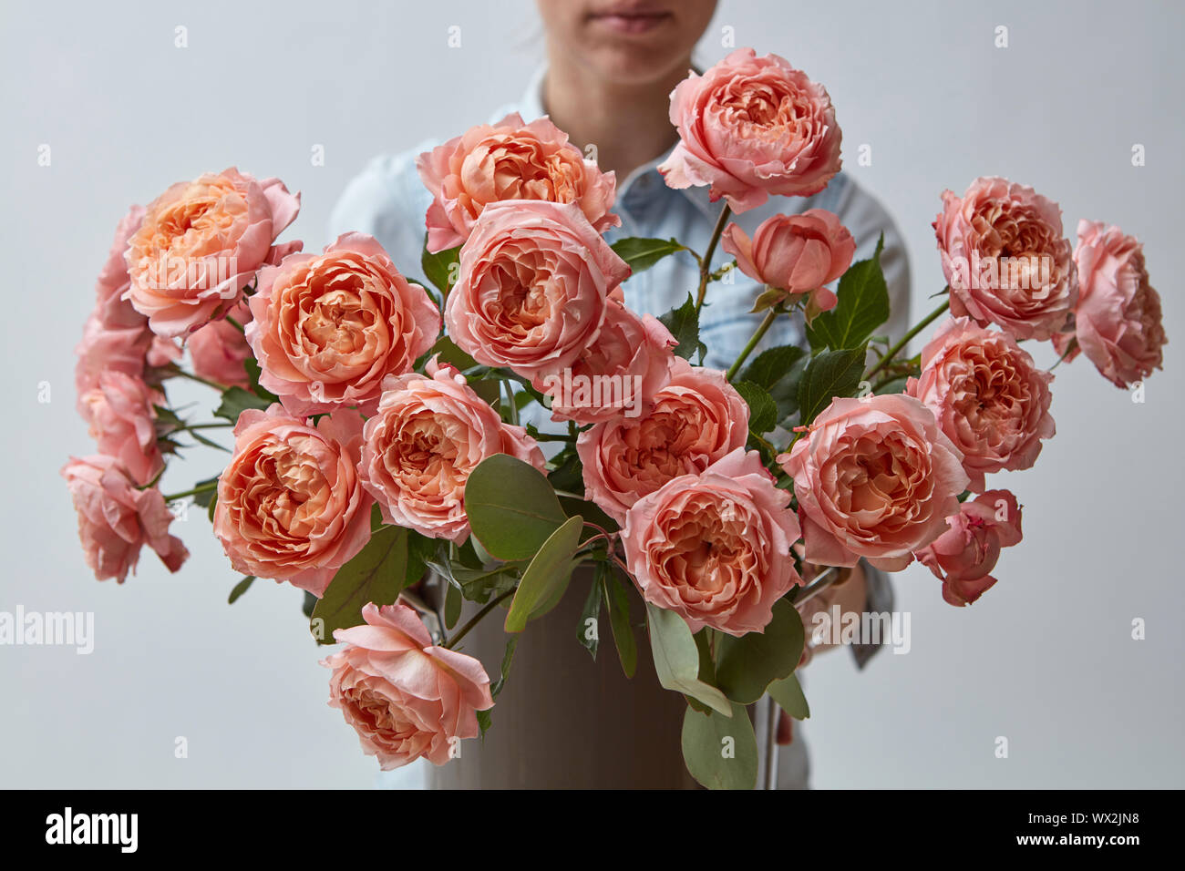 Ein Mädchen hält eine schöne rosa Rosen um einen grauen Hintergrund. Grußkarte Stockfoto