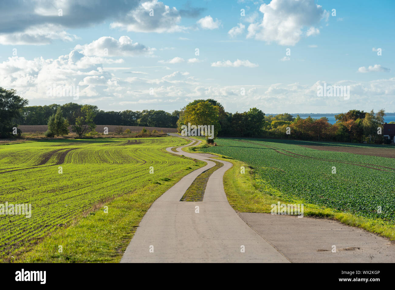 Landwirtschaft Straße auf der Insel Rügen Stockfoto