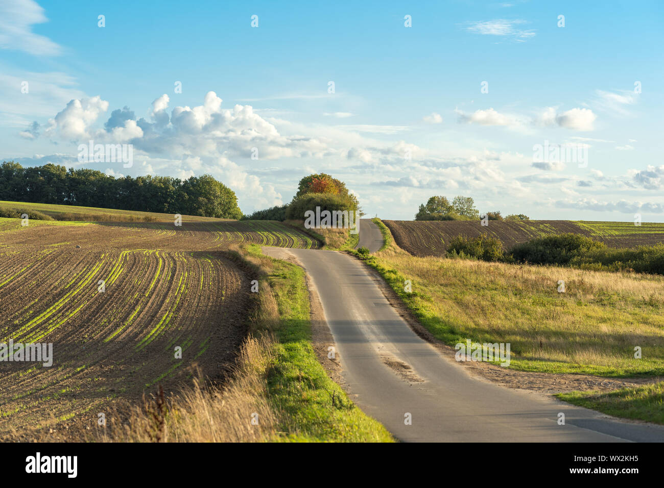 Landwirtschaft Straße auf der Insel Rügen Stockfoto