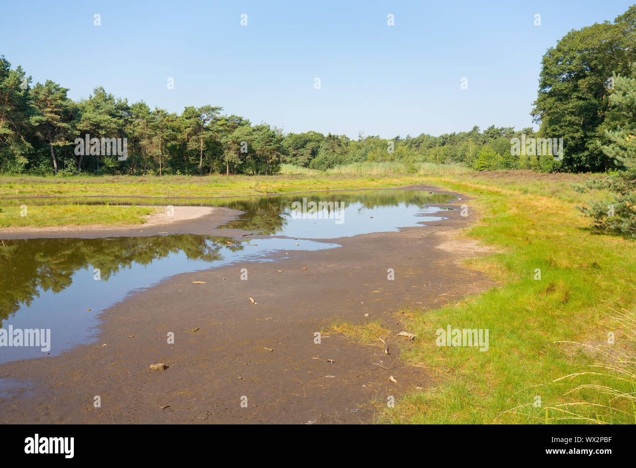 Das Trocknen von niederländischen natürlichen See im Sommer Stockfoto