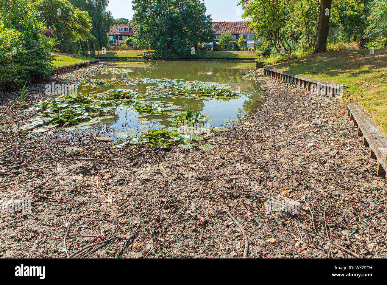 Das Trocknen von niederländischen Teich im Sommer Stockfoto