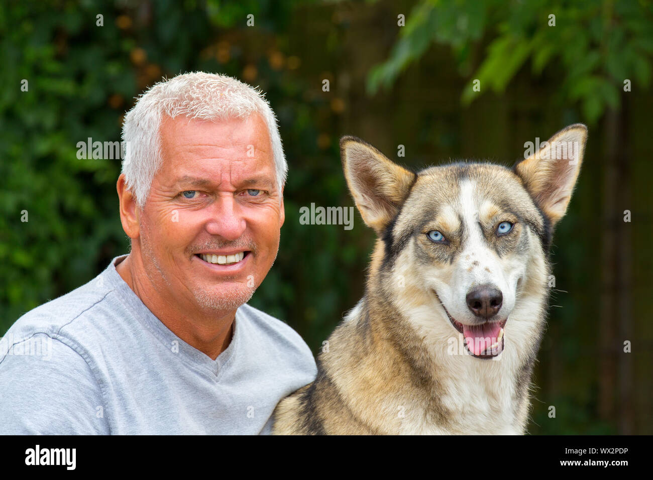 Portrait von niederländischen man mit Husky Hund Stockfoto