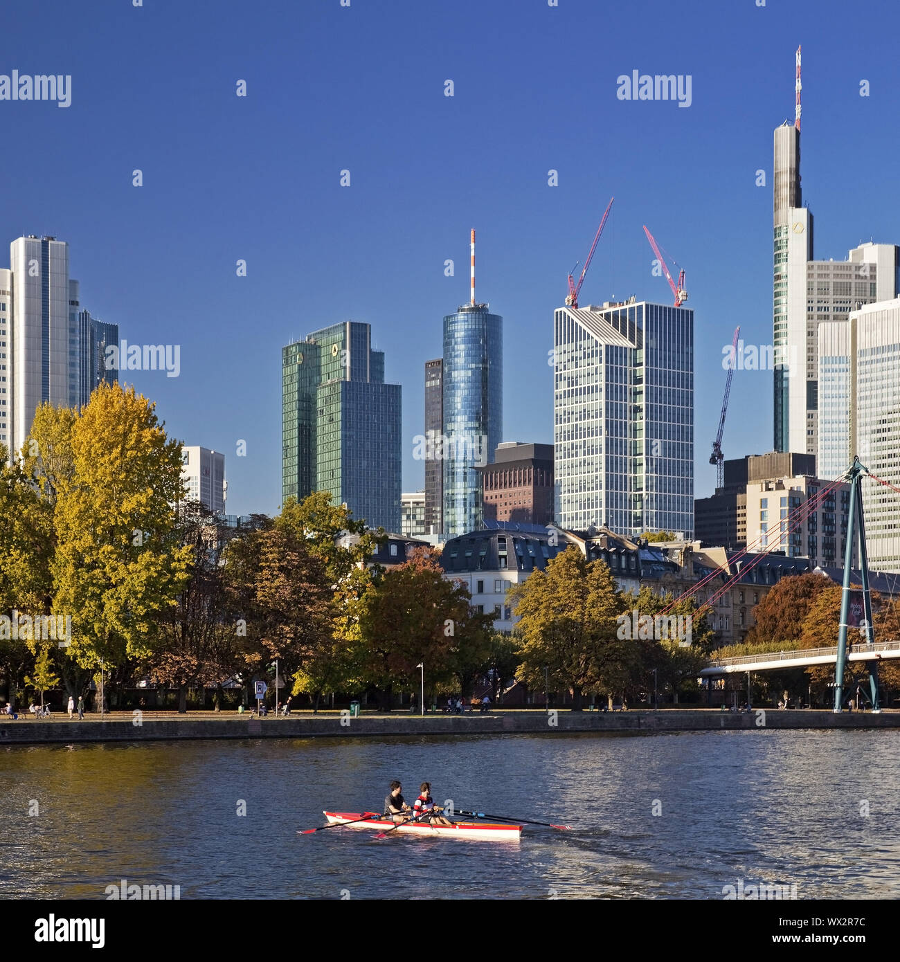 Blick auf die Stadt mit Ruderboot auf dem Main, Bankenviertel im Hintergrund, Frankfurt am Main Stockfoto