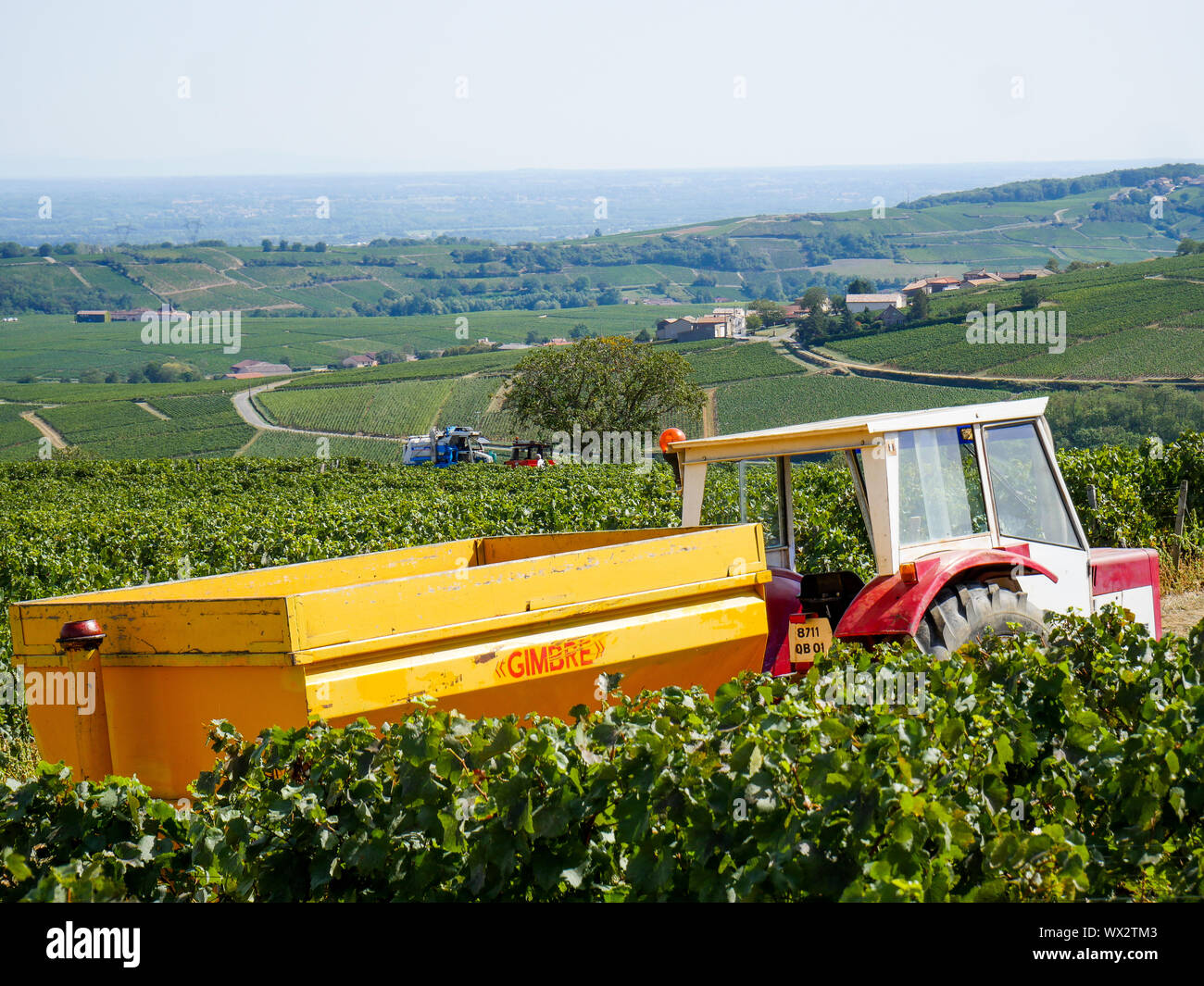 Weinbau Maschinen, Vergisson, Burgund, Saône-et-Loire, Bourgogne-Franche-Comté Region, Frankreich Stockfoto