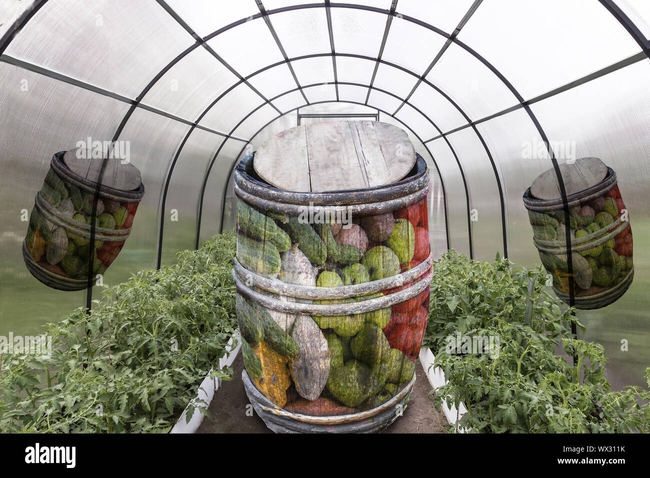 Ein abstraktes Bild mit einer unerwarteten Konzept der zukünftigen Ernte. Stockfoto