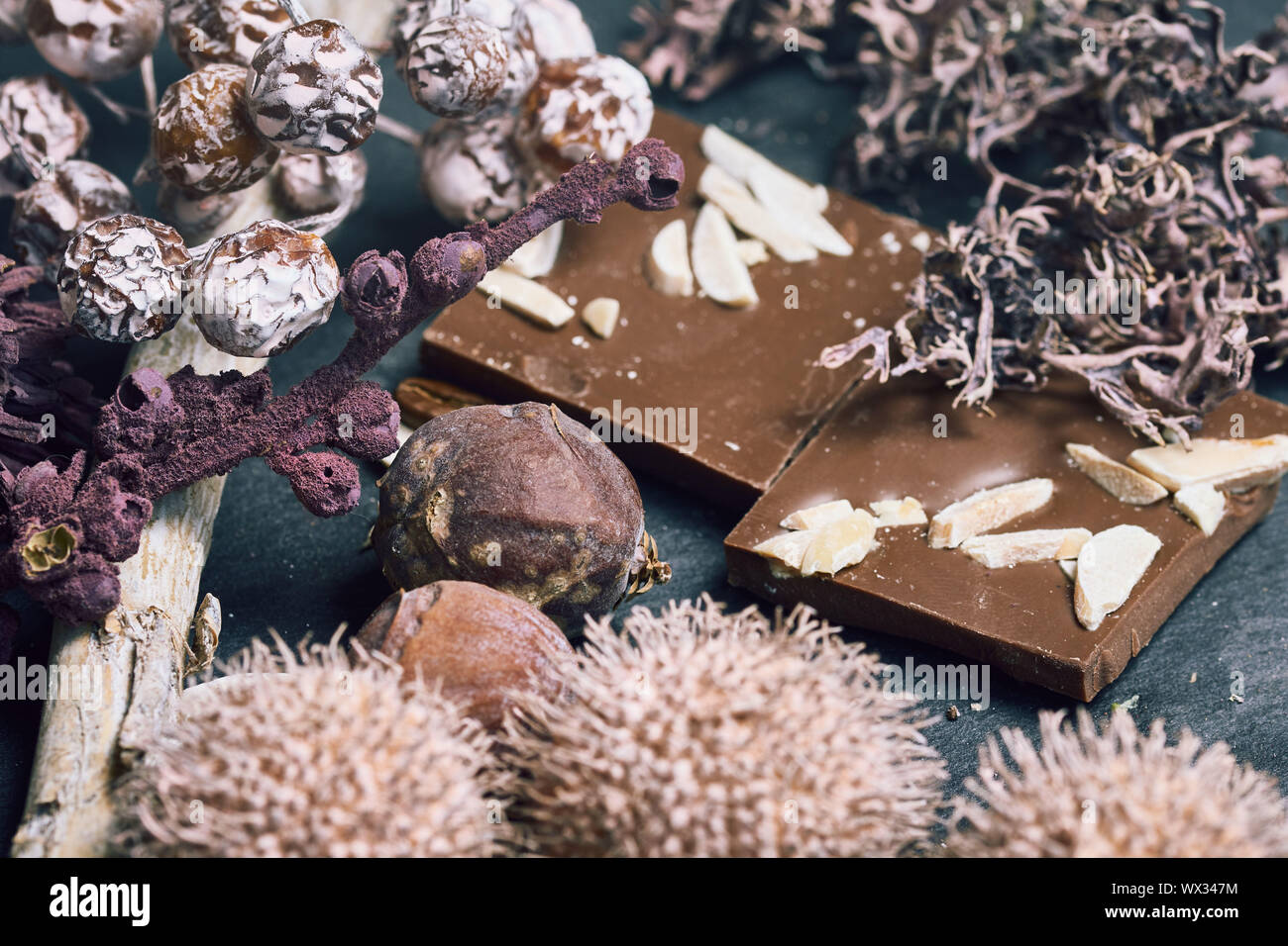 Stücke von Mandel Schokolade mit Herbst Dekoration auf einer Schiefertafel Hintergrund Stockfoto Stücke von Mandel Schokolade mit Herbst Dekoration auf einer Schiefertafel Hintergrund Stockfoto