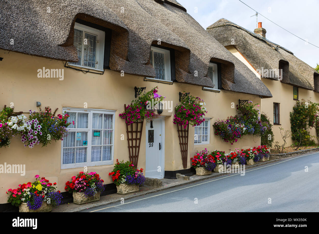Traditionelle englische Häuser auf dem Land in Dorset, England. Stockfoto