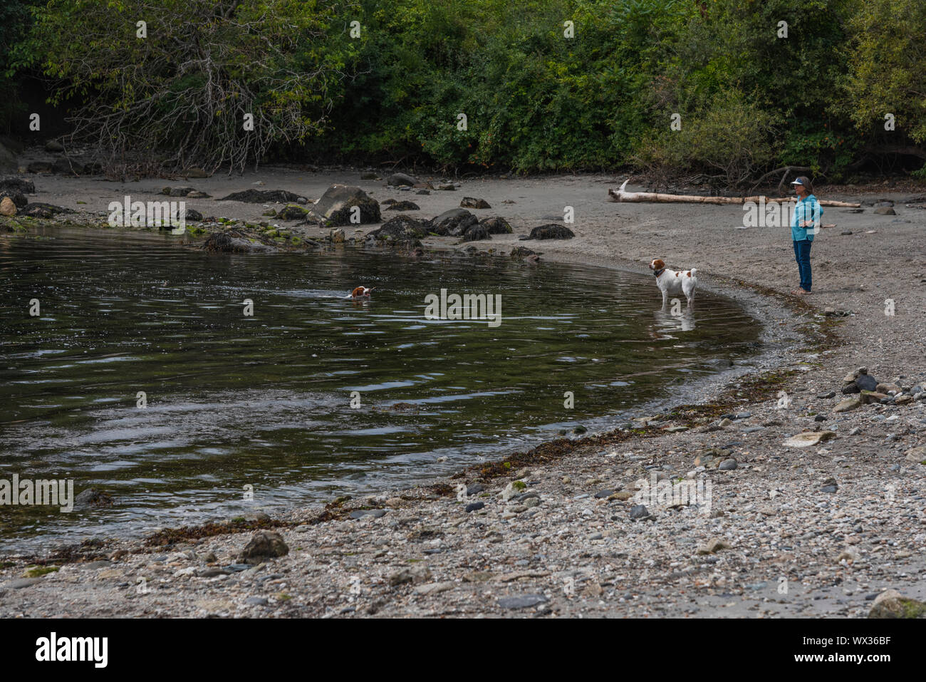 Fort Wetherill Park Narragansett, Rhode Island Stockfoto