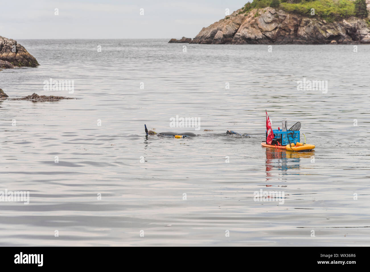 Fort Wetherill Park Narragansett, Rhode Island Stockfoto