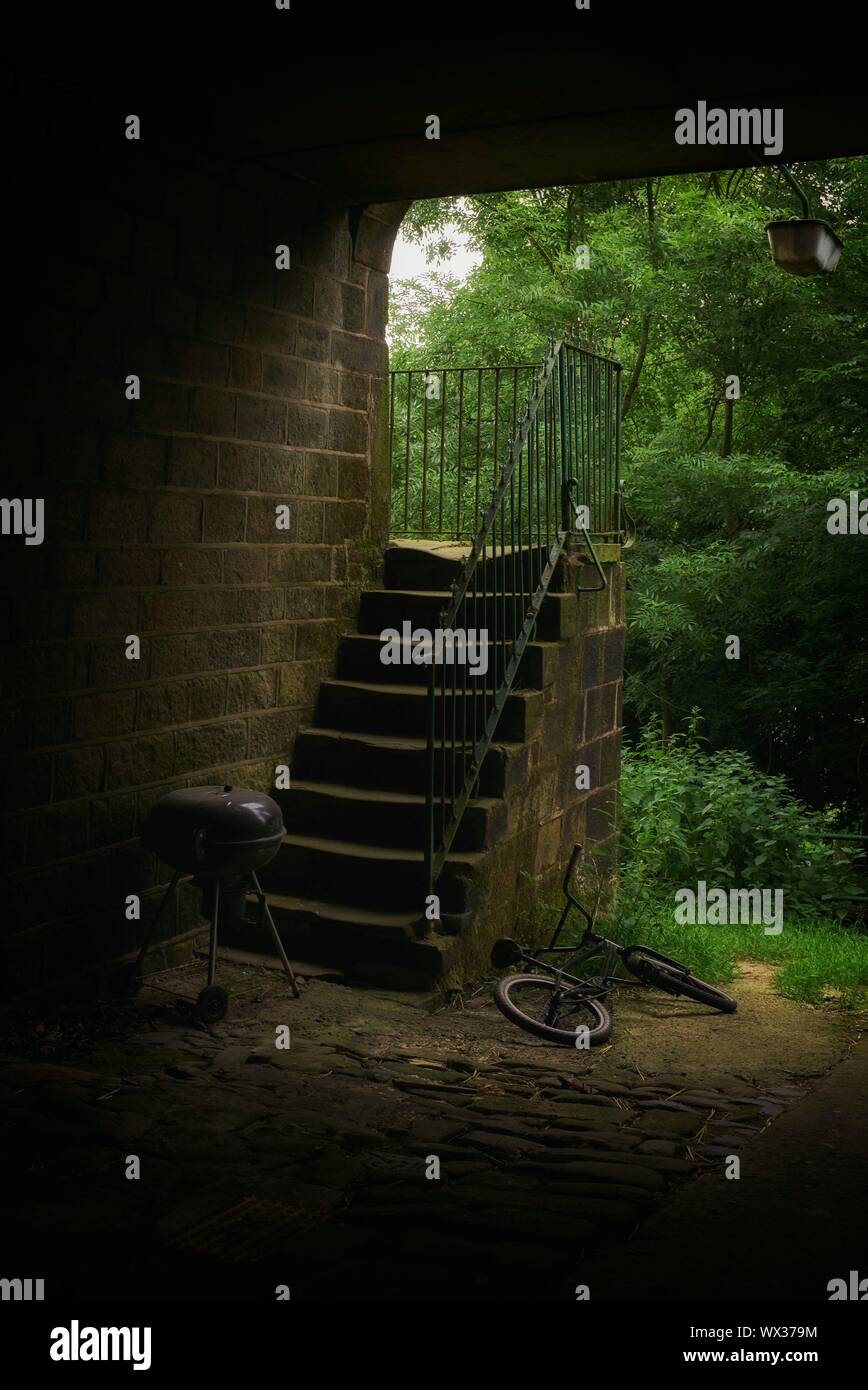 Alte Steintreppe an Hey Top Cottages (40 Zeile) in Greenfield, Saddleworth Stockfoto