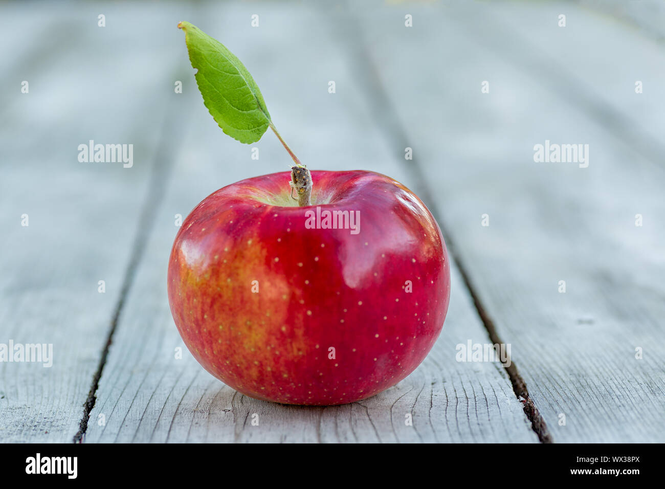 Glänzend roter Apfel auf einem rustikalen Holztisch. Stockfoto