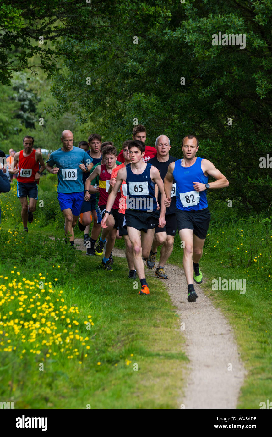 Laienhafte Läufer in einem realen Rennen, das traditionelle 2 Hügel Chagford trail Race Stockfoto
