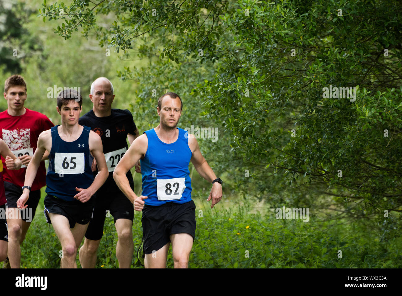 Laienhafte Läufer in einem realen Rennen, das traditionelle 2 Hügel Chagford trail Race Stockfoto