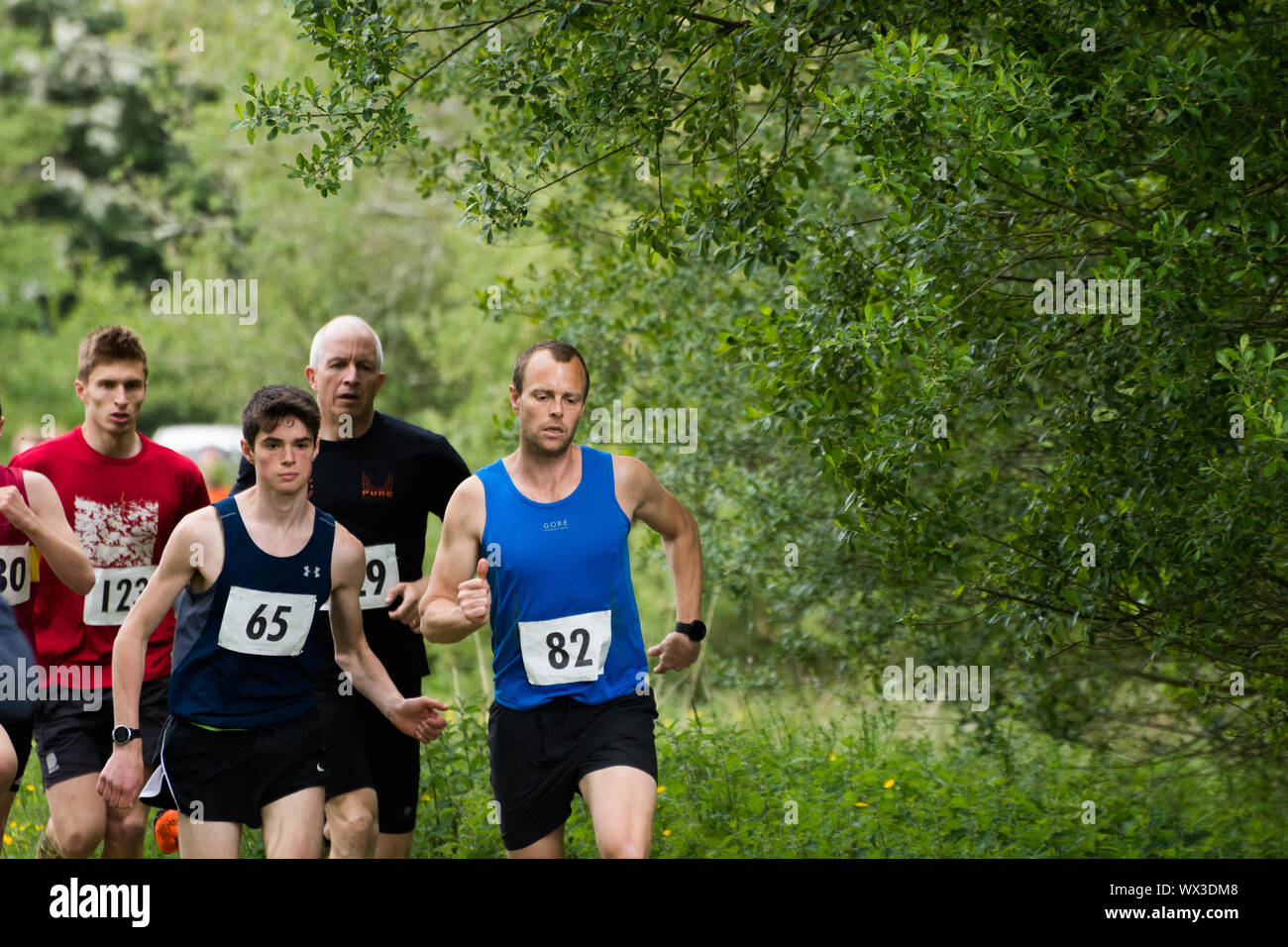 Laienhafte Läufer in einem realen Rennen, das traditionelle 2 Hügel Chagford trail Race Stockfoto