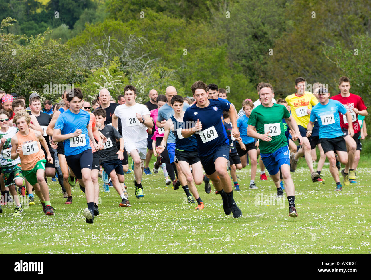 Laienhafte Läufer in einem realen Rennen, das traditionelle 2 Hügel Chagford trail Race Stockfoto