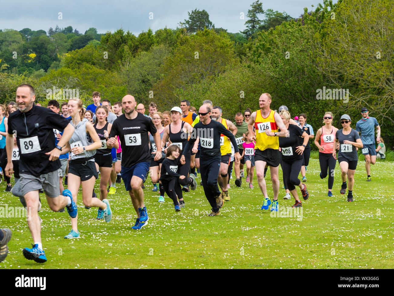 Laienhafte Läufer in einem realen Rennen, das traditionelle 2 Hügel Chagford trail Race Stockfoto