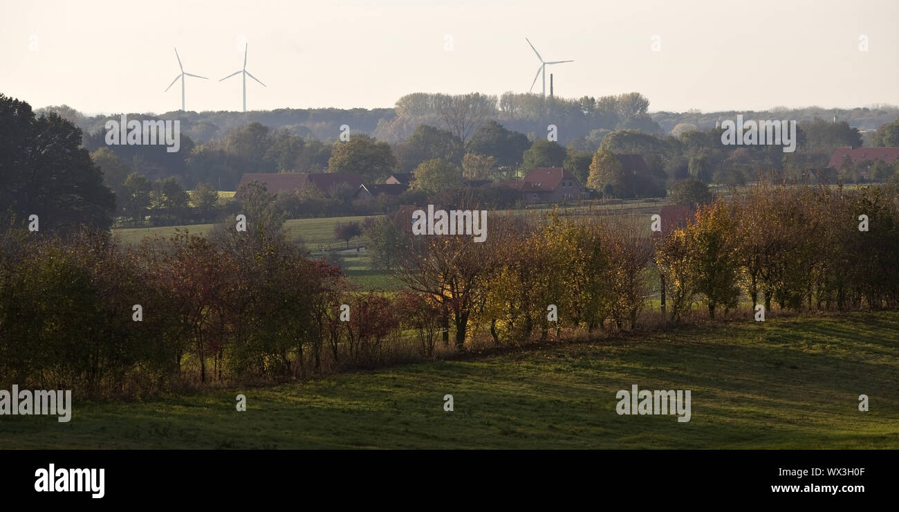 Landwirtschaftliche Landschaft, Baumberge, Nottuln, Münsterland, Deutschland, Europa Stockfoto