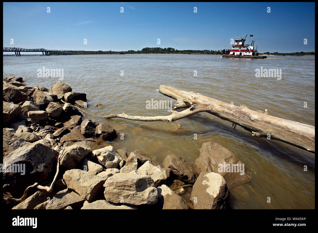 Mississippi schrumpft. Das Wasser ist niedrig und riesige landwirtschaftliche Flächen in Tennessee und Mississippi kämpfen mit Dürre. Stockfoto