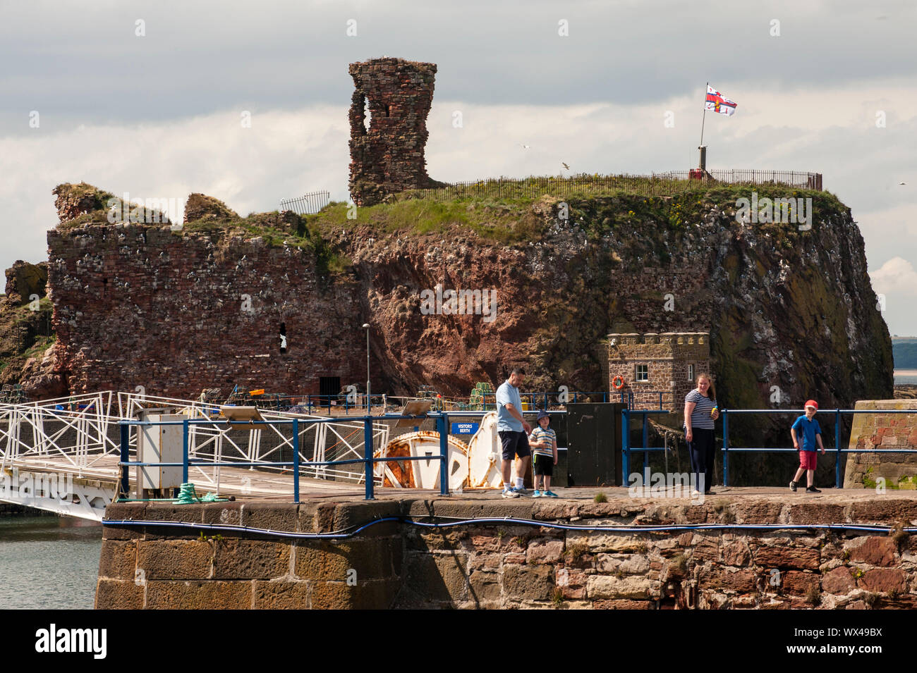 Dunbar Castle, Dunbar Castle Wände sind heutzutage das Brutgebiet für eine Vielzahl von dreizehenmöwen. Dunbar ist eine Stadt im Südosten von scotl Stockfoto