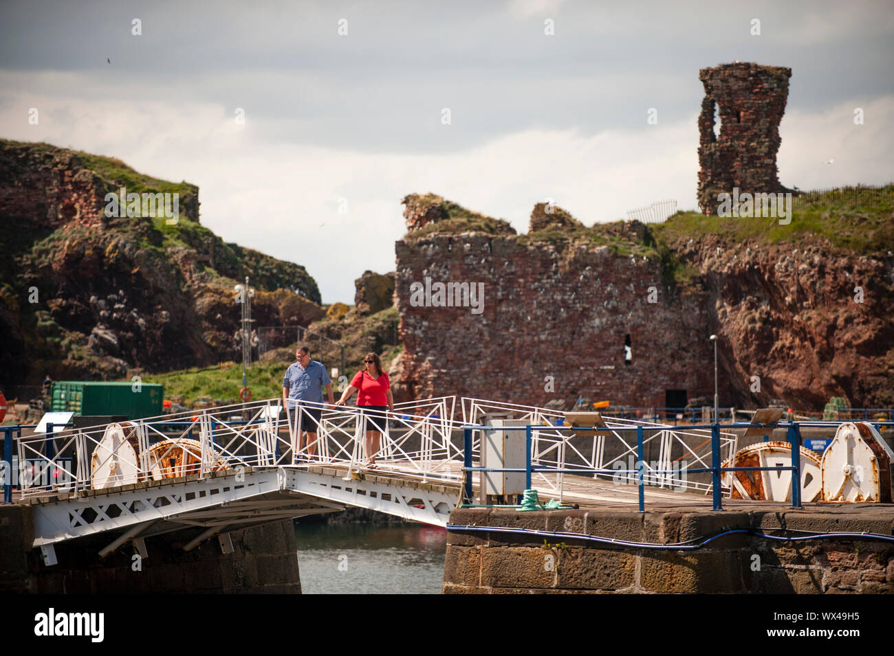 Dunbar Castle, Dunbar Castle Wände sind heutzutage das Brutgebiet für eine Vielzahl von dreizehenmöwen. Dunbar ist eine Stadt im Südosten von scotl Stockfoto