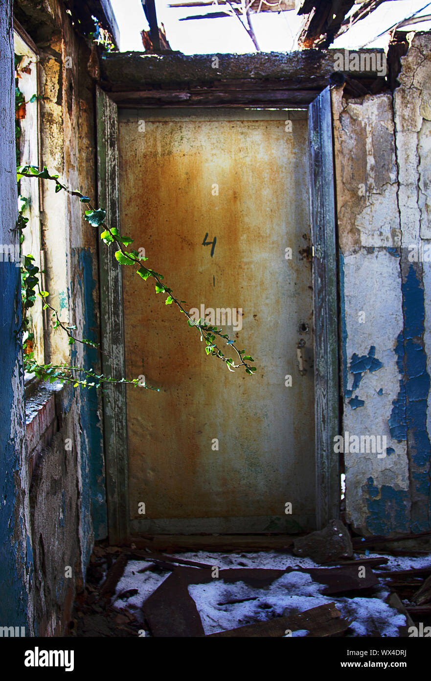 Verlassenes Haus, Äste wachsen durch zerbrochenes Glas. Tür Nr. 4 als Eingabe zu nichts und nirgendwo, Symbol der Verwüstung Stockfoto