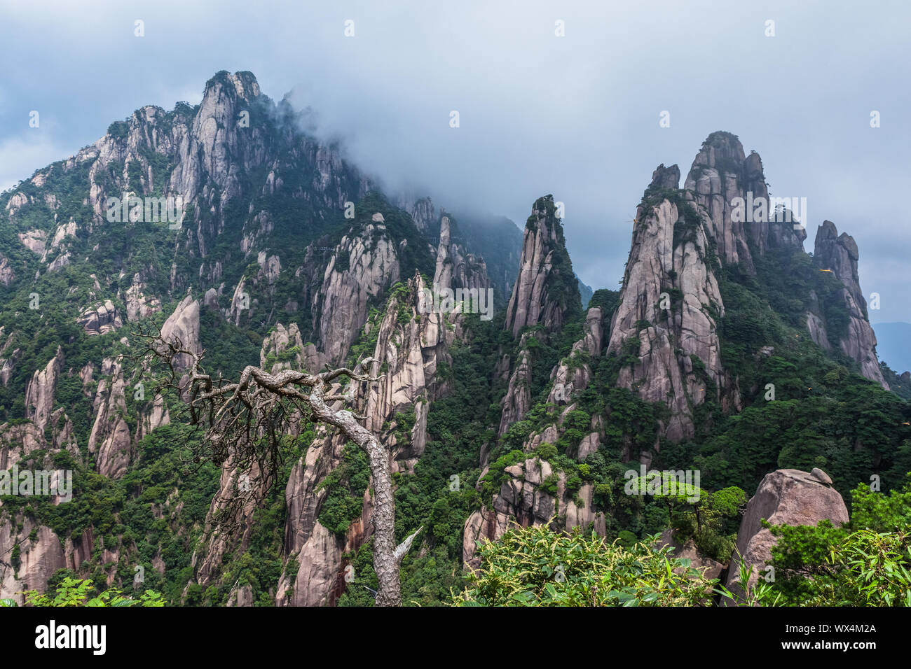 Zhangjiajie National Forest Park am Wulingyuan Hunan China Stockfoto